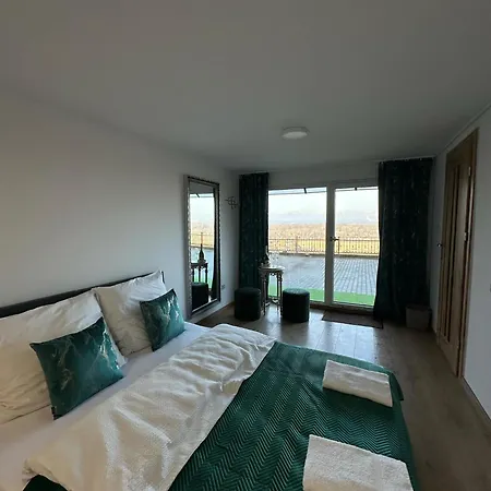 Apartament Bena Ze Zjawiskowym Tarasem Widokowym Chełmno Zewnętrze zdjęcie