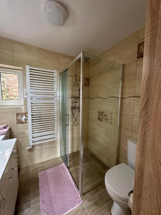 Bena Ze Zjawiskowym Tarasem Widokowym Apartment Chelmno (Kuyavian-Pomeranian)